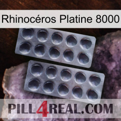 Rhinocéros Platine 8000 31
